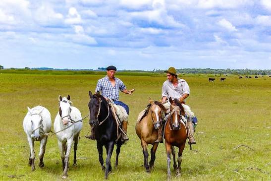 Uruguay – gauchos dans la pampa, destination VPDVOYAGES