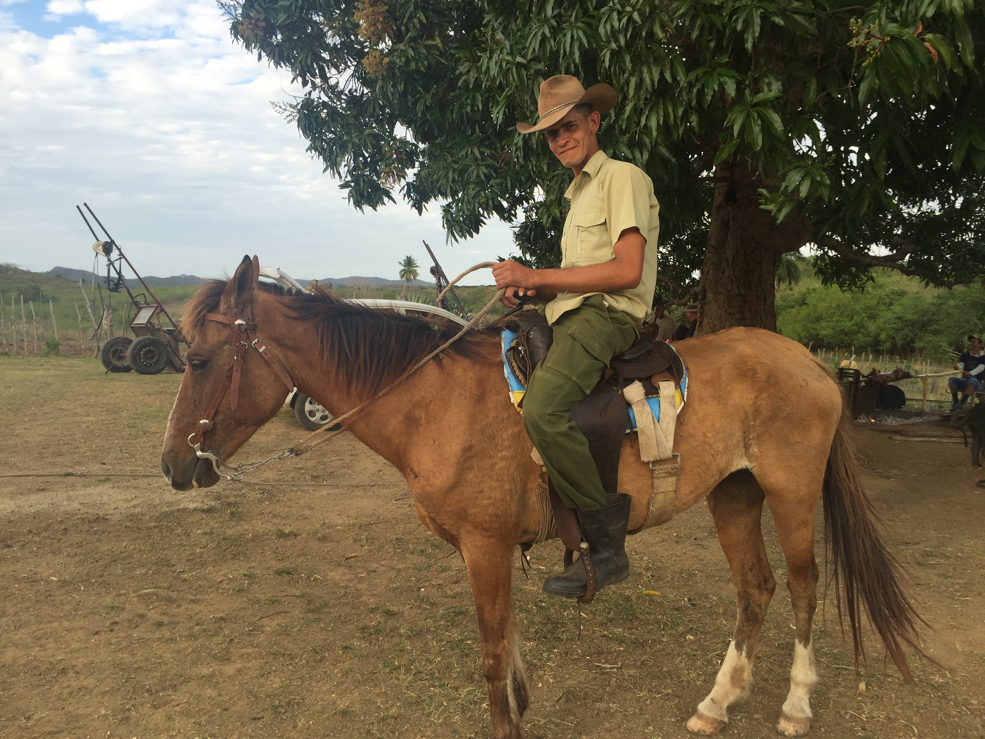 curro cheval