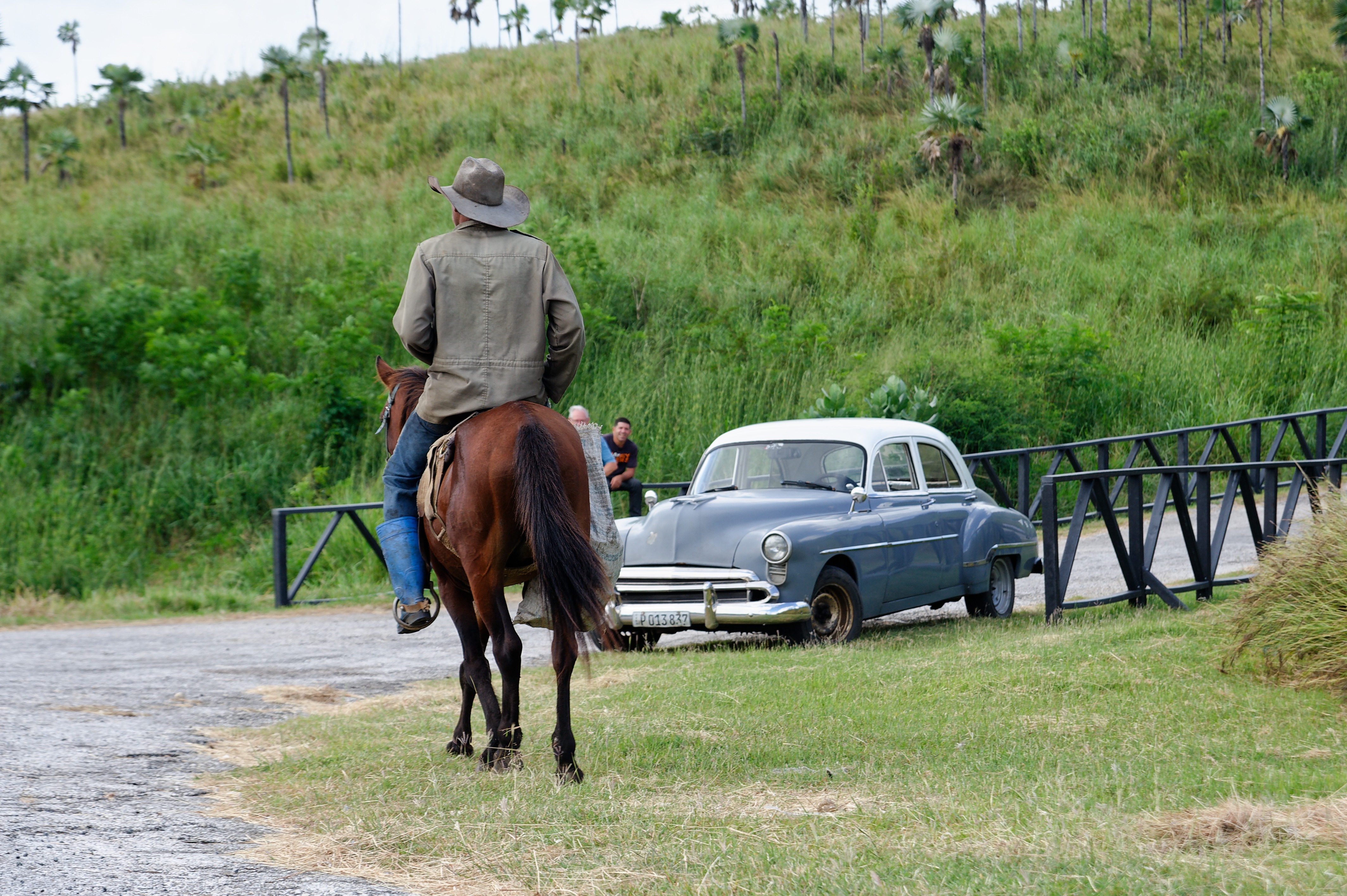 cavalier cheval campagne
