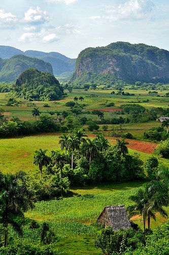 Vallée de Viñales