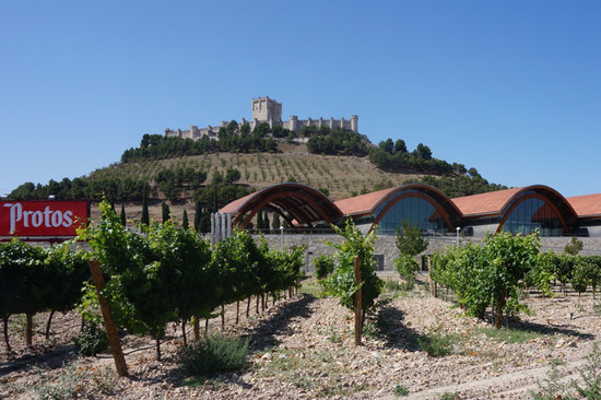 Bodegas Protos